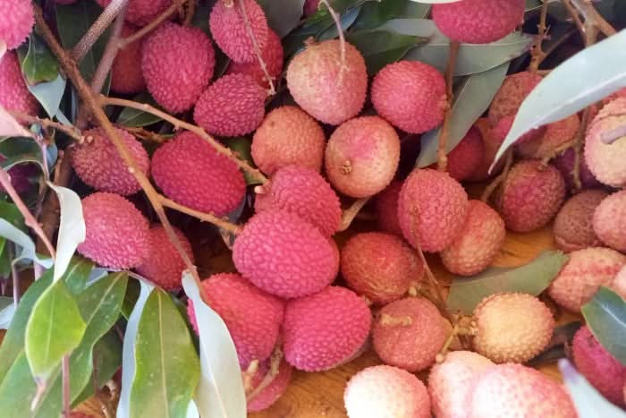 Litschi & Rambutan Box Sonderpreis