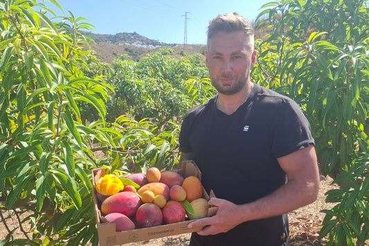 Mango Irwin Bio von Jaime Aktionspreis %