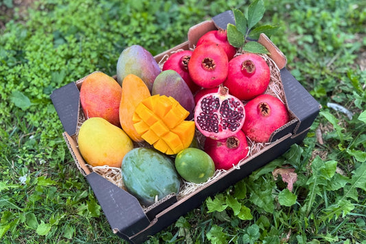 Mango & Granatapfel Bio Box Aktionspreis %