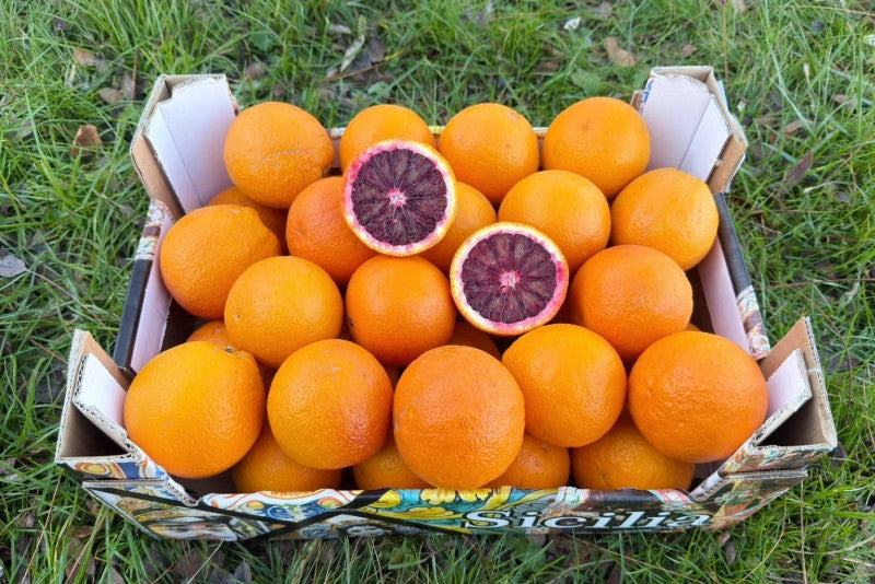 Moro Blutorangen Bio von Familie Caracciolo Sizilien
