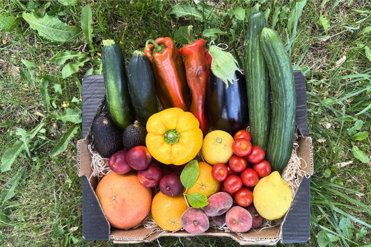 Bio Obst & Gemüse Retterbox 5kg