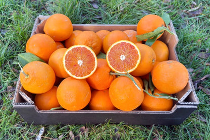 Blutorange „Tarocco“ Bio von Fratelli Bilardi Kalabrien