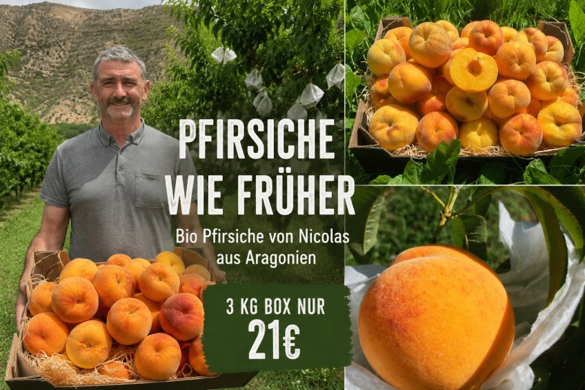 Pfirsich "Catherine" Bio von Nicolas