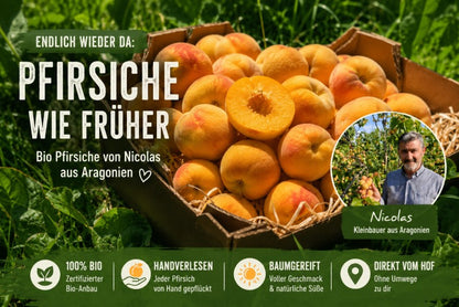 Pfirsich "Catherine" Bio von Nicolas
