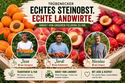 Steinobst-Mix Bio "Sonnenküsse" Box