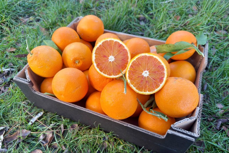 Blutorange „Tarocco“ Bio von Fratelli Bilardi Kalabrien