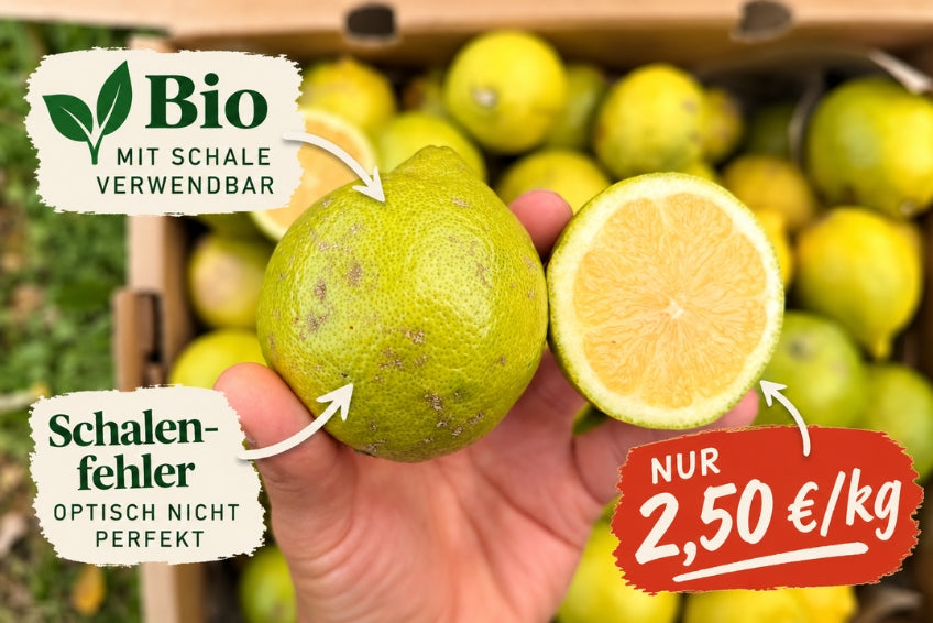 Ugly Bio Zitronen Box Sizilien % 6kg