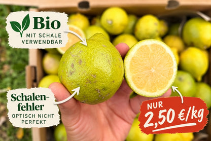 Ugly Bio Zitronen Box Sizilien % 6kg