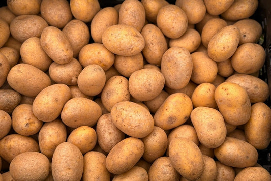 Kartoffeln "Butter" Bioland neue Ernte Bio