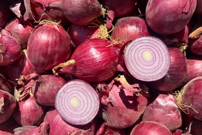 Zwiebel rot Bio regional bioland aus Bayern