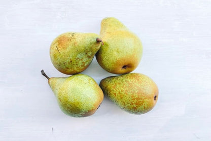 Birne "Gräfin von Paris" alte Sorte regional Bio