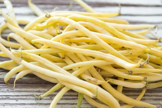 Bio Buschbohnen gelb regional 500g