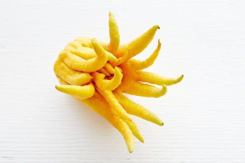 Bio "Buddha's Hand" Zitrusfrucht 1 Stk.