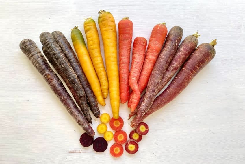Karotten bunt Bio Naturland regional
