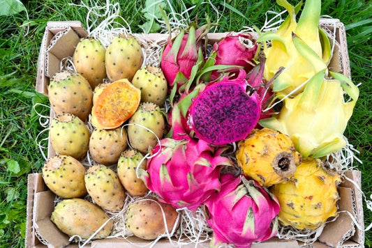 Cactus Love Box (Pitaya & Kaktusfeigen) Box 3kg