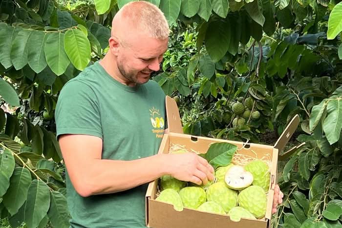 Bio Cherimoya-Baum Adoption von Julian