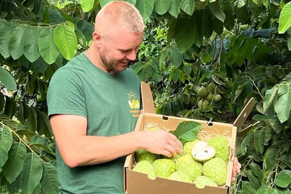 Bio Cherimoya-Baum Adoption von Julian