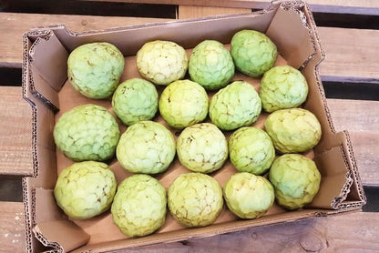 Bio Cherimoya Finca Alto Cantarrijan 4kg Aktionspreis