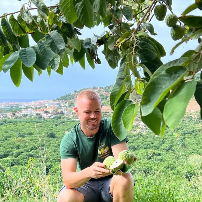 Bio Cherimoya-Baum Adoption von Julian