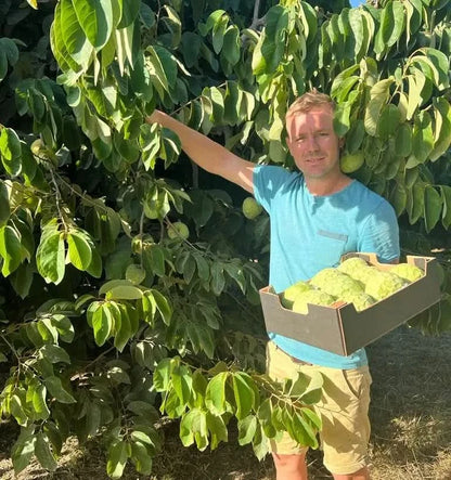 Bio Obstbox „Südamerikanische Liebe“