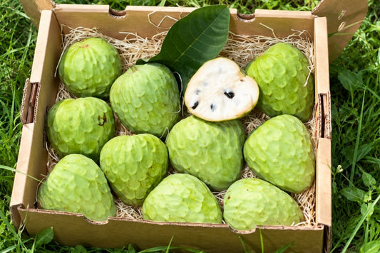Cherimoya Sonderaktion % 4kg