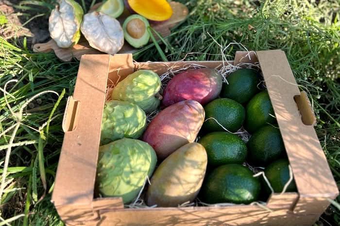 Obstbox "Cher-Man-Cado" Aktionspreis % 4kg