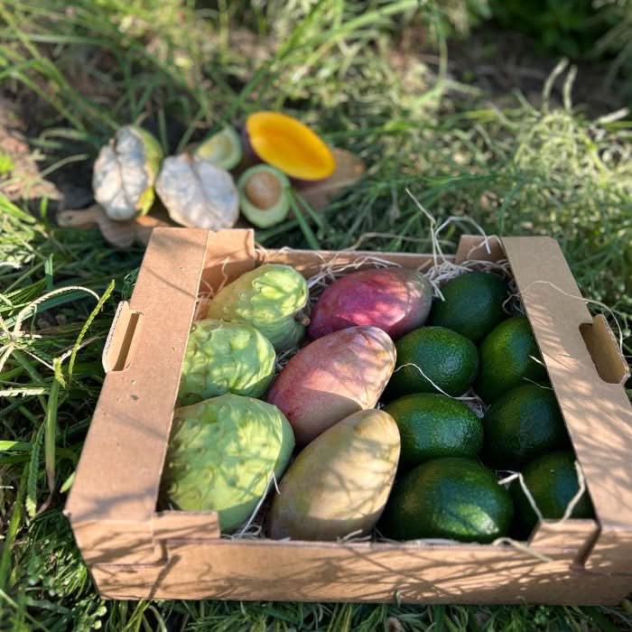 Obstbox "Cher-Man-Cado" Aktionspreis % 4kg