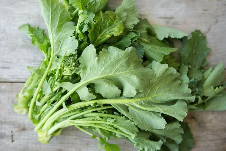 Aqua Rapa Bio Cime di rapa (Stängelkohl) - Trübenecker.de