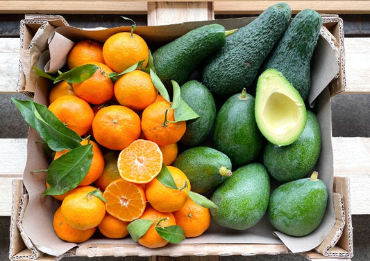 Avocado-Clementine Duo Bio Box