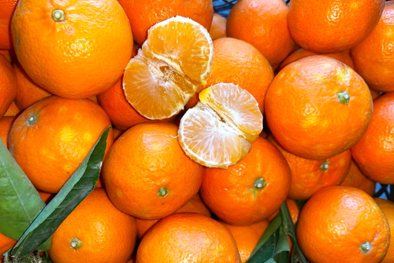 Mandarinen Nova Bio von Familie Bilardi Kalabrien