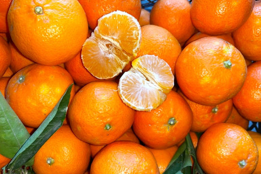 Mandarinen Nova Bio von Familie Bilardi Kalabrien