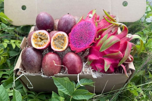 Drachen-Passion Box 2kg Weihnachtsaktion %