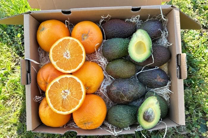 Bio Avocado & Orangen Box Demeter Finca Jelanisoli 4kg