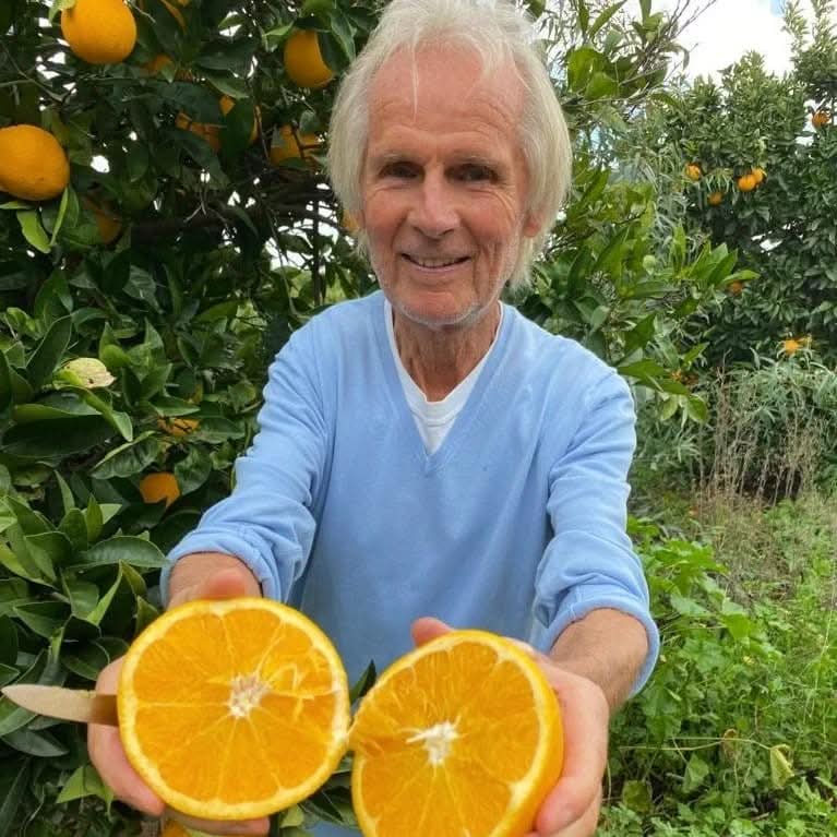Bio Avocado & Orangen Box Demeter Finca Jelanisoli 4kg