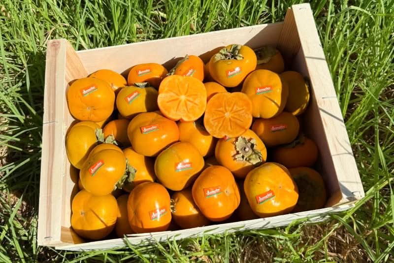 Kaki "Hana Fuyu" Bio & Demeter von Julia