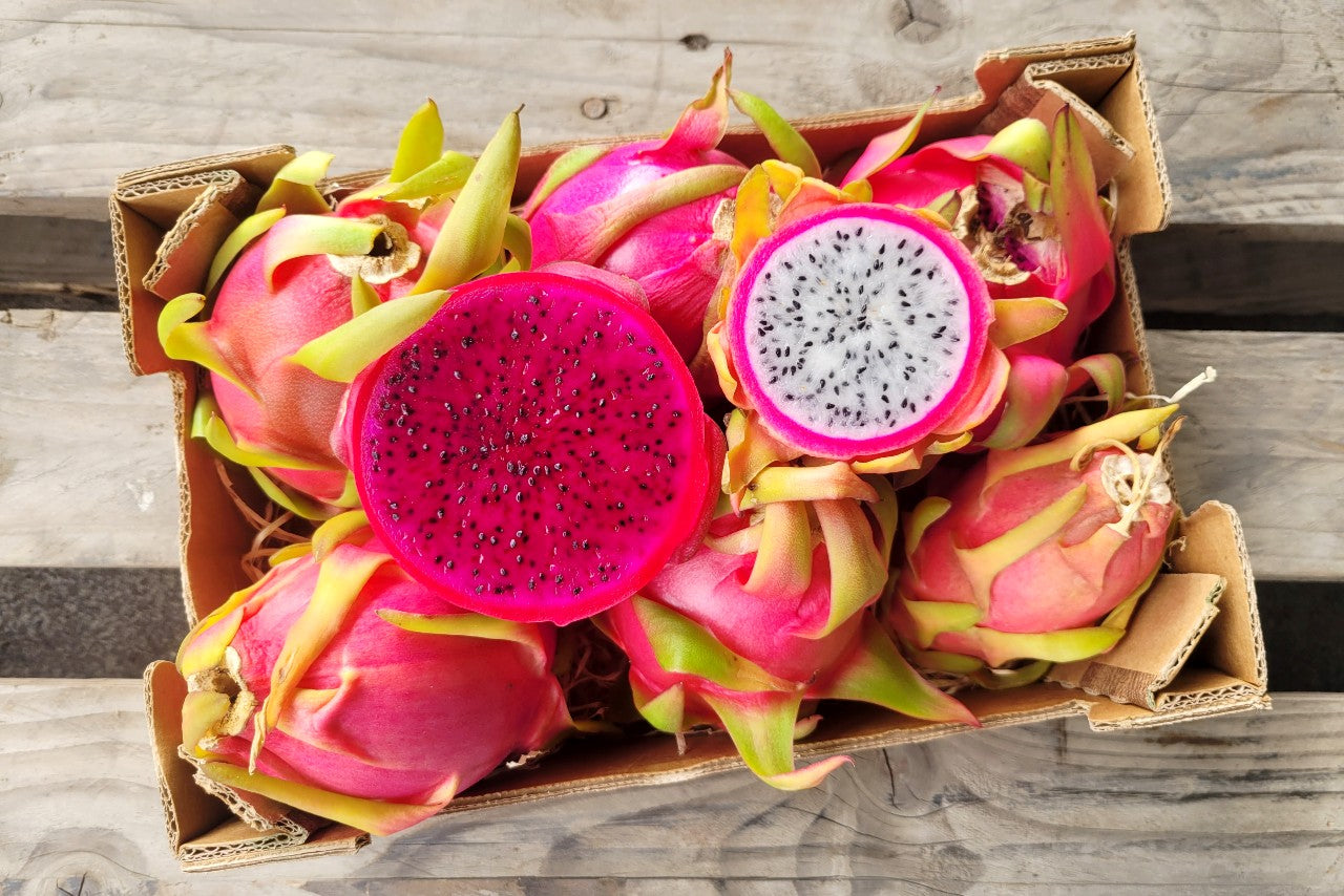 Drachenfrüchte Mix Sonderaktion