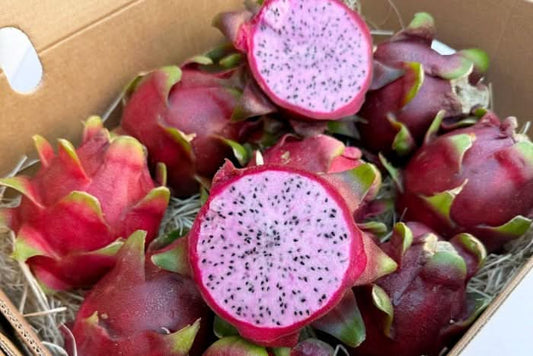 Drachenfrucht rosa Bio von Julian