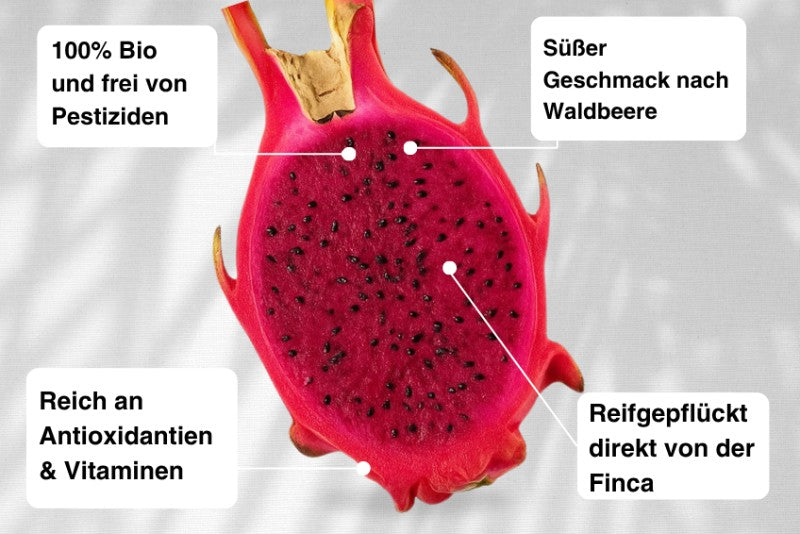 Drachenfrucht rot Bio von Julian
