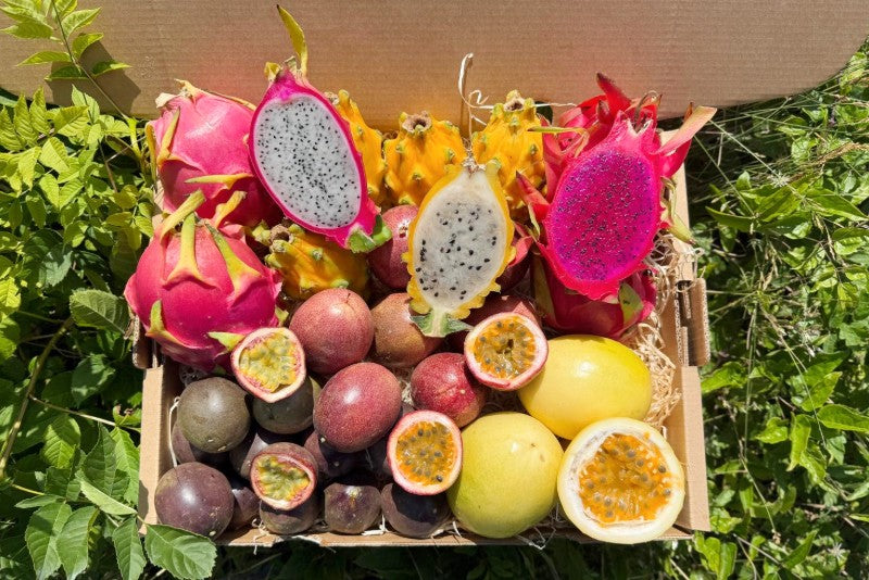 Fruchtfeuer Tropic Mix Box Sonderpreis %