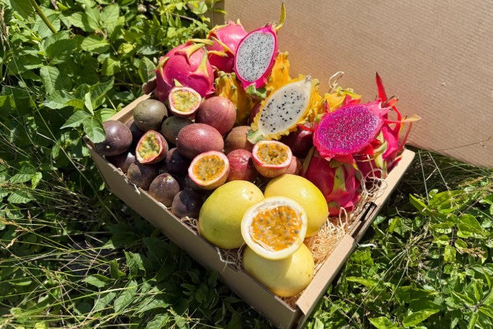Fruchtfeuer Tropic Mix Box Sonderpreis %