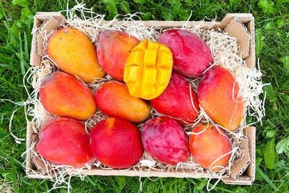 Mango Irwin Edelsorte Bio Aktionspreis %