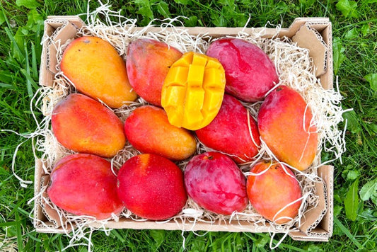 Mango Irwin Edelsorte Bio Aktionspreis %