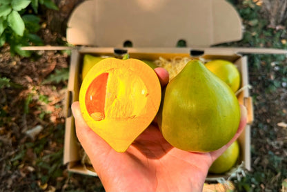 Eggfruit (Canistel)