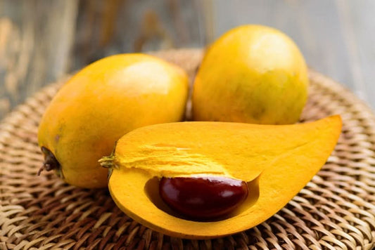Eggfruit (Canistel)