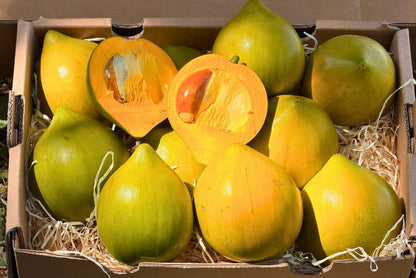 Eggfruit (Canistel)