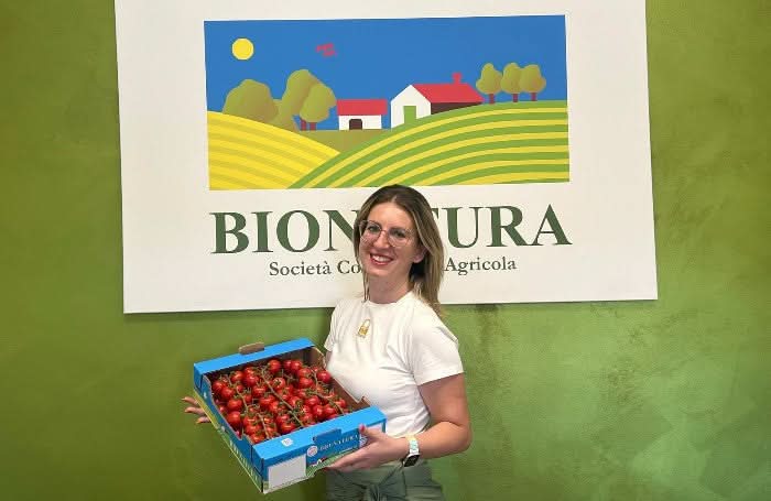 Cherry-Tomaten Bio von Elisa Sizilien Retter-Box