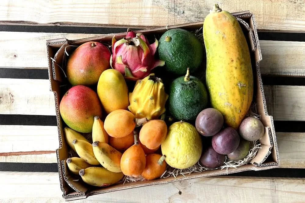 Obstbox "Tropische Träume" Bio