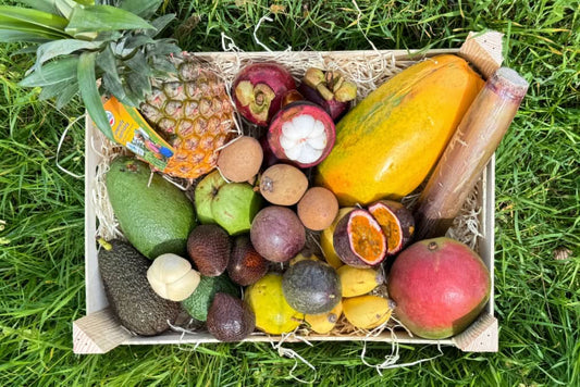 Premium Exotenbox Bio