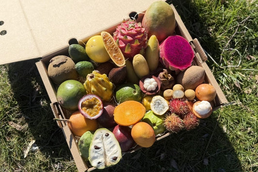 Tropen-Weltreise Exotenbox