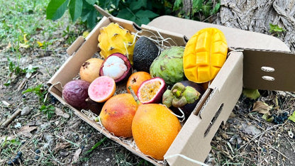 Probierbox "Exotische Früchte" Prueba